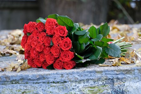 Букет из 31 красной розы "Эль Торо"